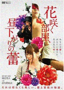 院线电影双语字幕封面